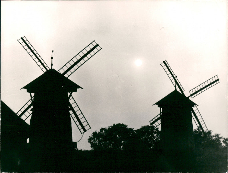 Mills - Vintage Photograph