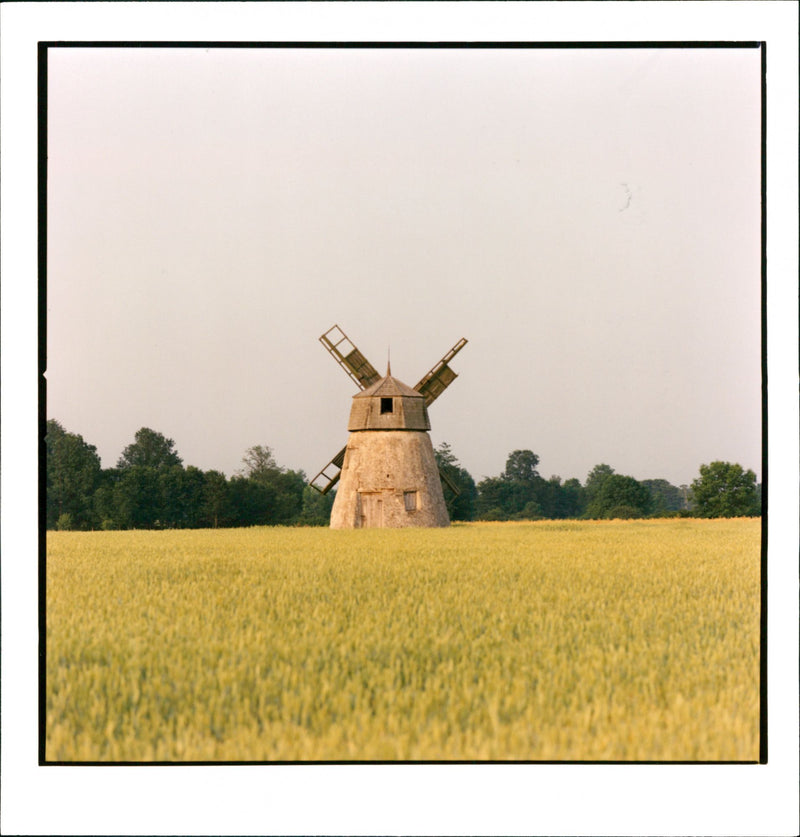 Windmill - Vintage Photograph