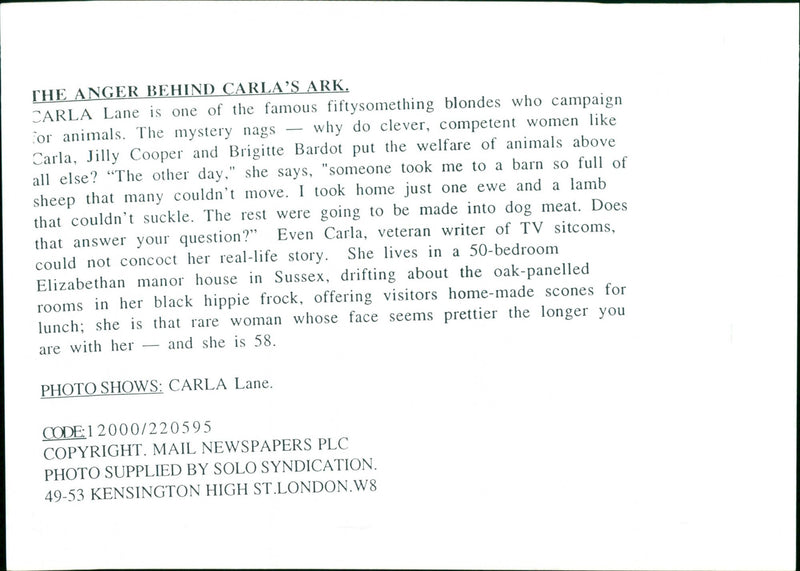 OTHER MOVE YOUR COULDNT FULL PUT MADE KEYSTONE MODEL WRITER BRIGITTE BARDOT - Vintage Photograph