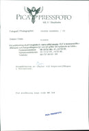 IMAGEFEATURED DESK ANIMALS ACTION DELIVERY BLFS ACTS - Vintage Photograph