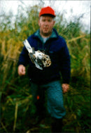 DESK ANIMALS DALUM IMAGE DALE ACTION WINGS CODE ELFS - Vintage Photograph