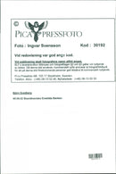 1995 CHESS RICE POLAR MUSIC INTERNATIONAL ANDERS HANSER SWEDEN - Vintage Photograph