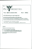 1996 CHESS RICE POLAR MUSIC INTERNATIONAL ANDERS HANSE ASK SWEDEN - Vintage Photograph