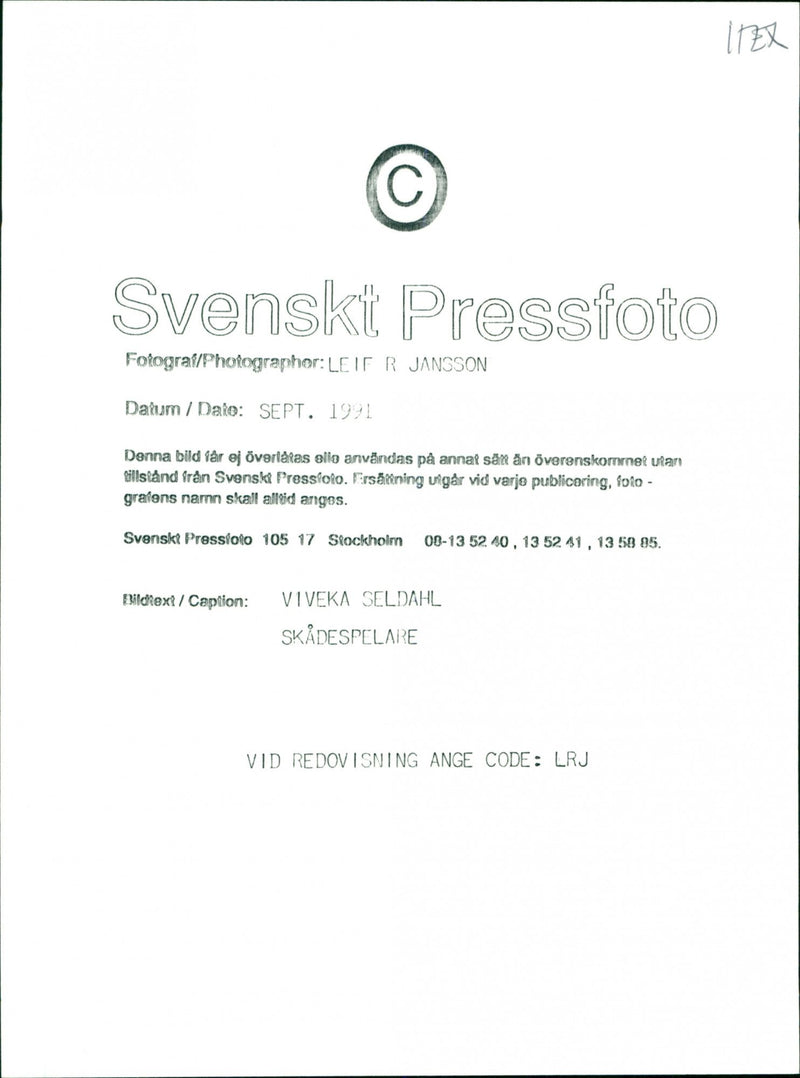 Viveka Seldahl. - Vintage Photograph