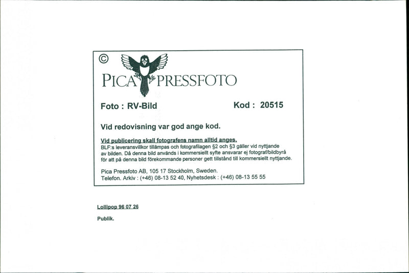 Music Festivals, Lollipop Festival. - Vintage Photograph