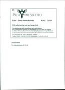 Music Festivals, Lollipop Festival. - Vintage Photograph