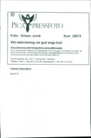 1998 RUNAWAY GIRL PICS HUTCHISON SALLY MCGRATH SAFE HOME SWEDEN - Vintage Photograph