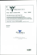 1995 RUNAWAY GIRL PICS HUTCHISON SALLY MCGRATH SWEDEN PRESS - Vintage Photograph