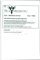 RUNAWAY GIRL PICS HUTCHISON SALLY MCGRATH SAFE HOME SWEDEN - Vintage Photograph