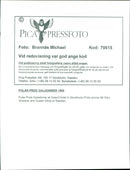 Music Polar award winner Ravi Shankar and Queen Silvia - Vintage Photograph