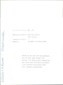 Model of Triumph International - Vintage Photograph