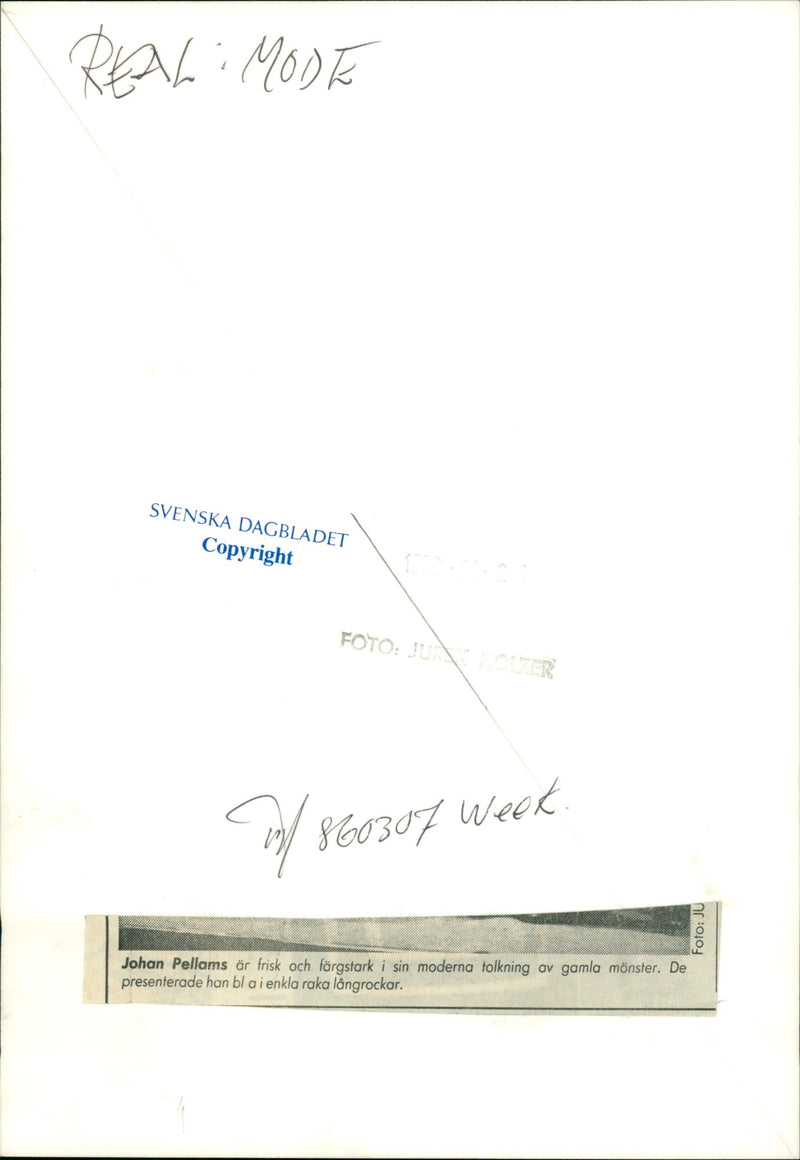 Model Johan Pellams Presenting a Simple Straight Loan Cows - Vintage Photograph