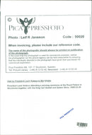 Lech Walesa - Vintage Photograph