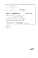 Female Model Wearing a Dress of 60's Fashion - Vintage Photograph