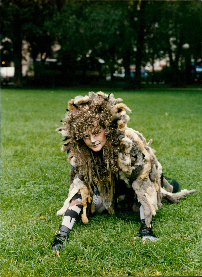 Musical CATS - Vintage Photograph