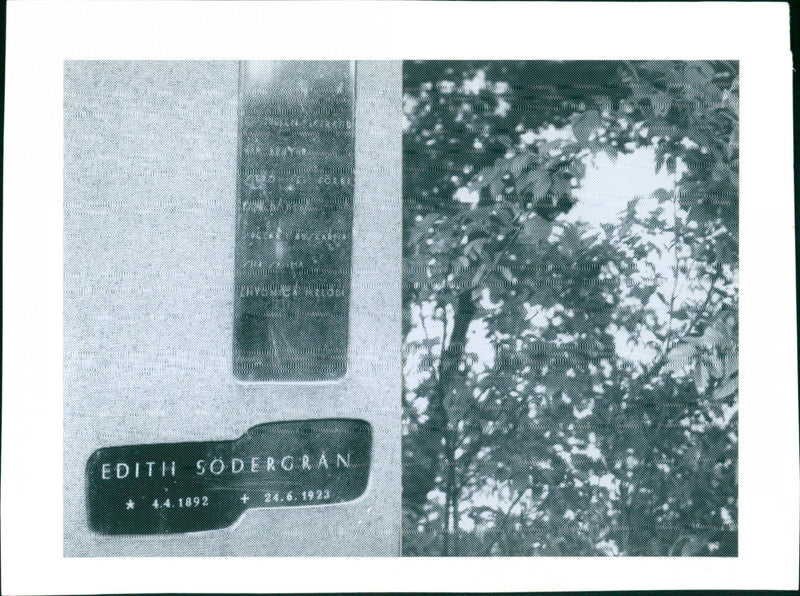 Edith Sodergran - Vintage Photograph