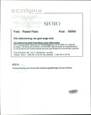 1952 OTHER SWEDEN IMAGE EACH DELIVERY BLFS SCANPIX SWEDEN MUSIC - Vintage Photograph