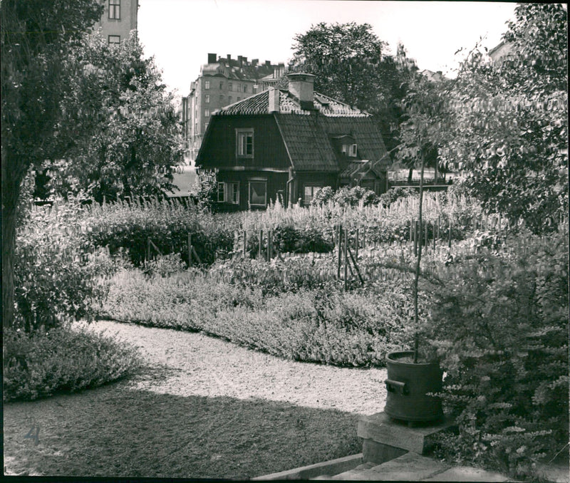 The Old Garden at Sofia Church - Vintage Photograph