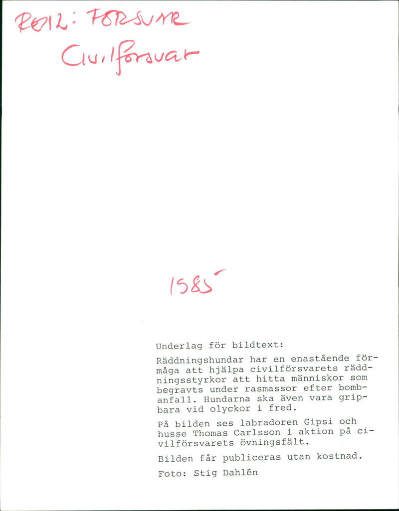 Defense - Vintage Photograph