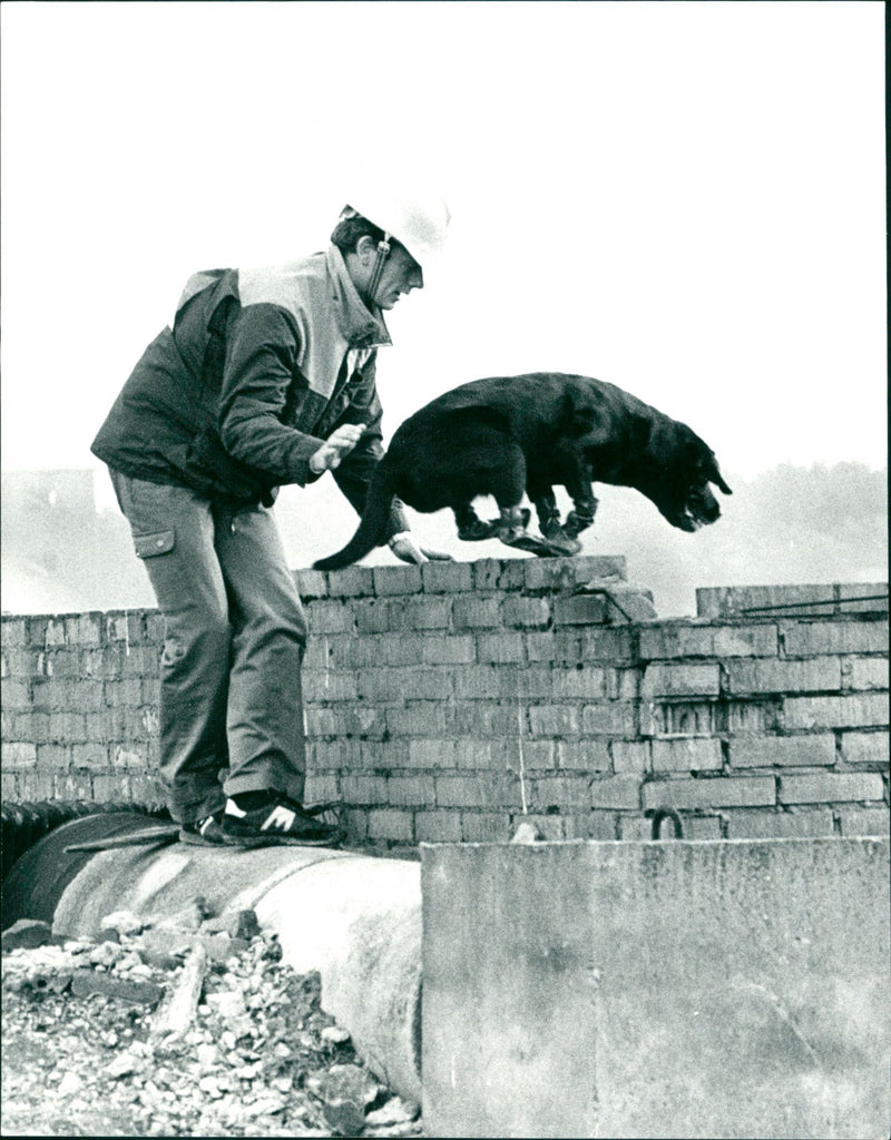 Defense - Vintage Photograph