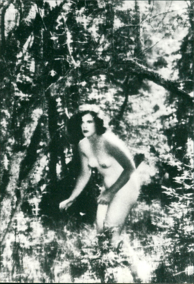 American-Austrian film actress Hedy Lammar - Vintage Photograph