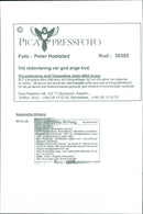 Margareta Winberg, Politician. - Vintage Photograph