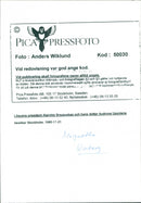 Margareta Winberg, Politician. - Vintage Photograph