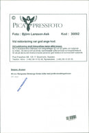 Margareta Winberg, Politician. - Vintage Photograph