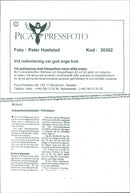 Margareta Winberg, Politician. - Vintage Photograph