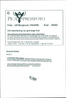 Margareta Winberg, Politician. - Vintage Photograph