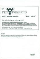 Margareta Winberg, Politician. - Vintage Photograph