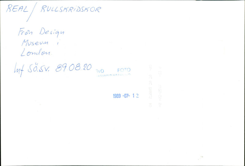 LON PHOTO BULL DESIGN WRITER - Vintage Photograph