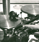 Animal Astronauts, - Vintage Photograph