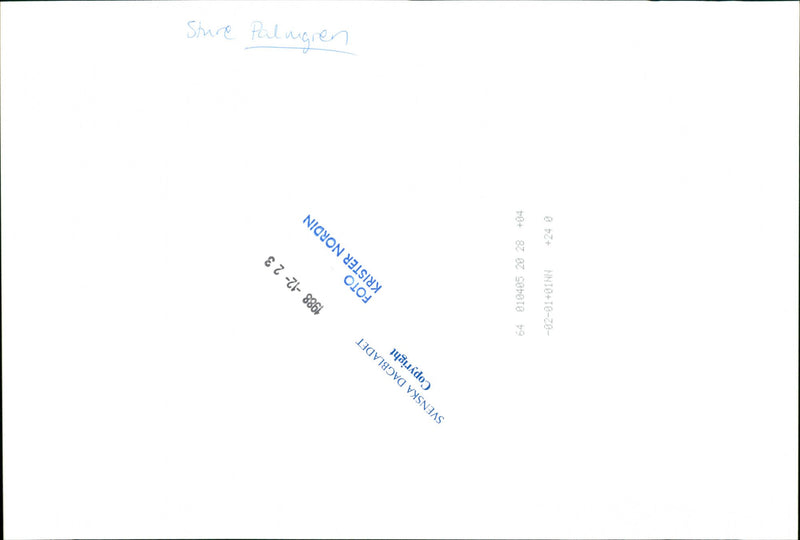 Sture Palmgren, Politician. - Vintage Photograph