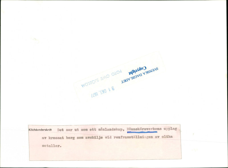 VXSNZAS VARIOUS LANDSCAPE KLICHE MANS HYDULDOG WOOLS OLO - Vintage Photograph