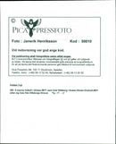 Niclas Kindvall, a Swedish footballer. Born February 19,1967 at Rotterdam, Netherlands. - Vintage Photograph