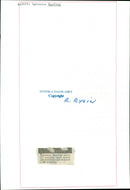 Lawrence McCray. - Vintage Photograph