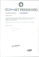 Chaim Weizmann, politician in Israel. - Vintage Photograph