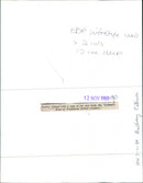 Cookery writer Audrey Ellison - Vintage Photograph