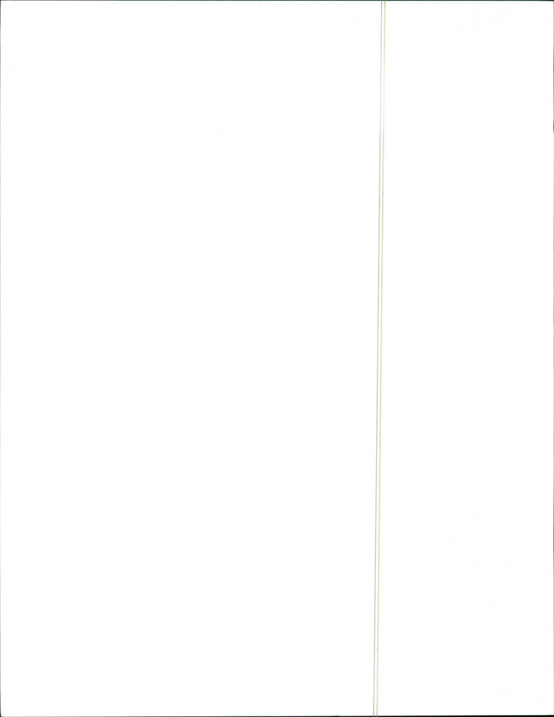 Models, Anna Sui Spring - Vintage Photograph