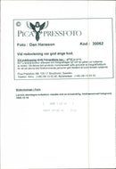 Models, Fashion shows in Paris - Vintage Photograph