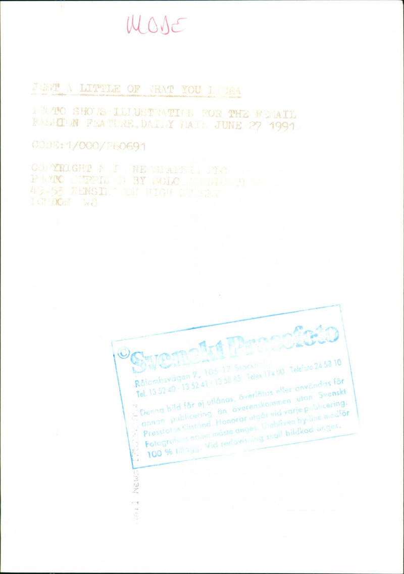 Models - Vintage Photograph