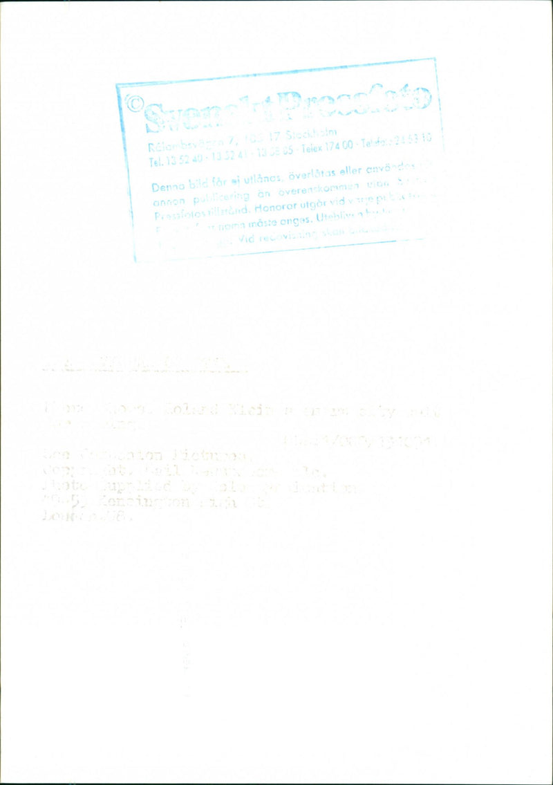 Models - Vintage Photograph