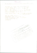 Models - Vintage Photograph