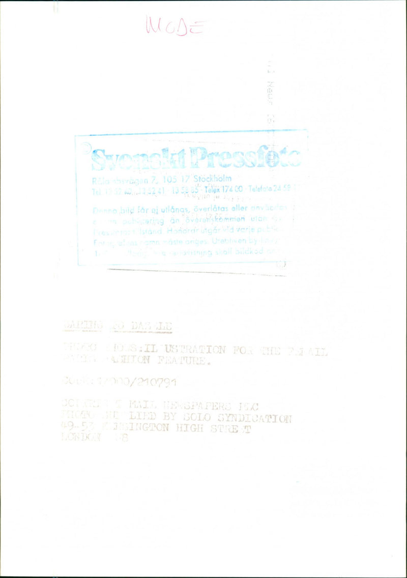 Models - Vintage Photograph