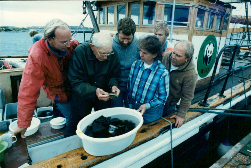 1988 TAN HAS SOAKED DAGLADED OCEANS WAXINESS ONE MATS EXPEDITION - Vintage Photograph