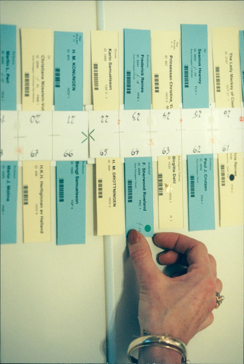 RESPONSIBLE FUTURE IMAG SWEDEN PAUL NOBEL POET ALBERT - Vintage Photograph