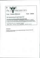 Nobel 1995 - Vintage Photograph