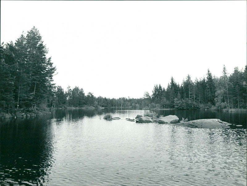 Sweden: Fyrväpplingen - Vintage Photograph