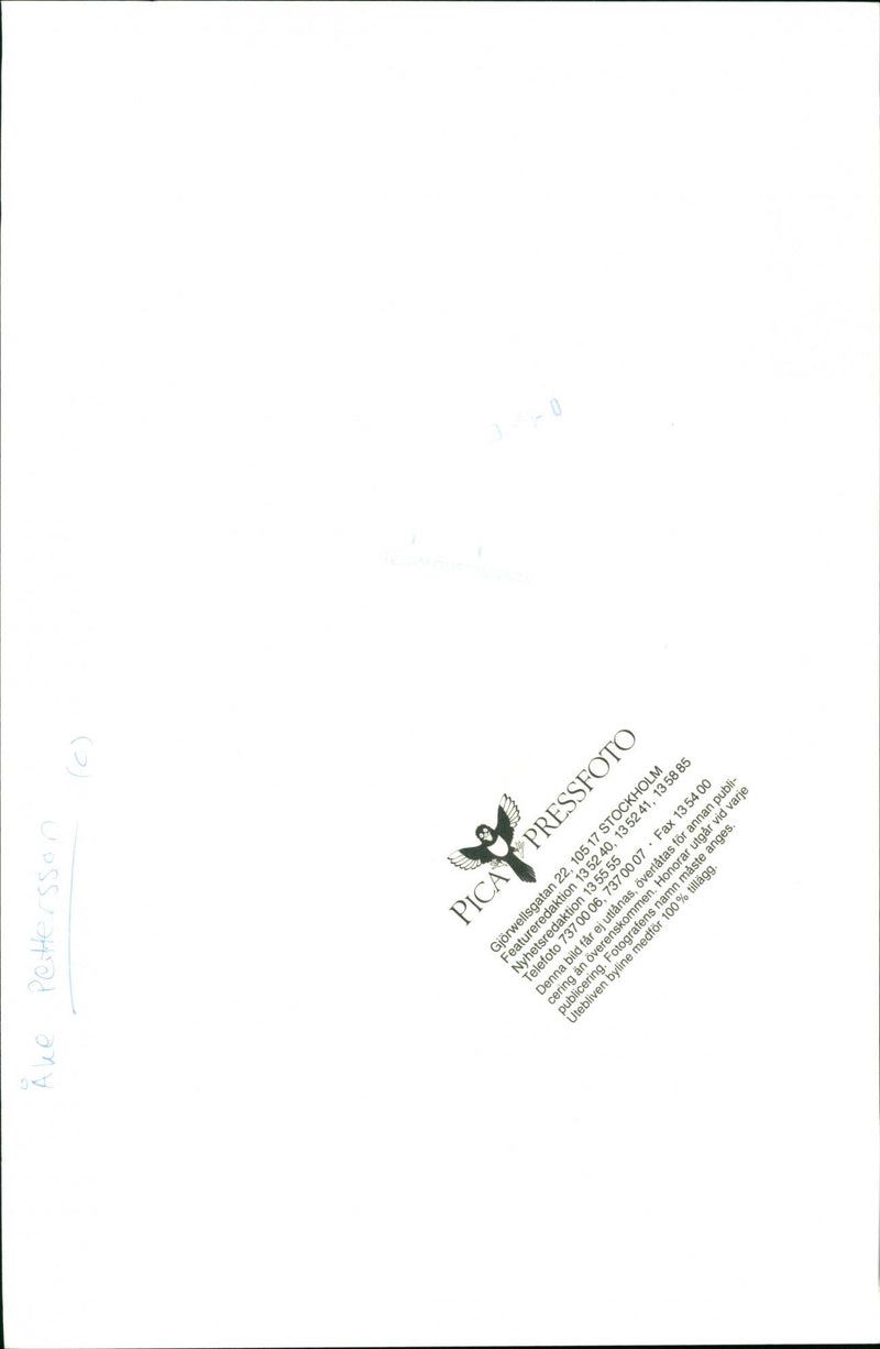 Ake Pettersson, politician. - Vintage Photograph